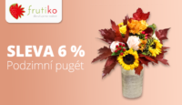 Frutiko.cz -6 % na podzimní pugét